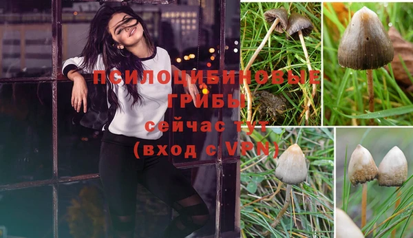 mix Козловка