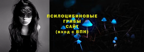 мяу мяу мука Кодинск