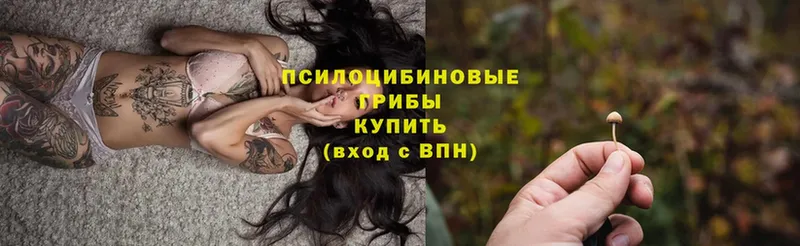 Галлюциногенные грибы Magic Shrooms  Муром 