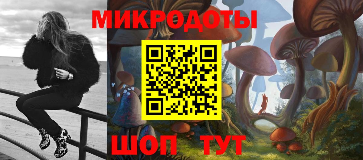 Муром  Галлюциногенные грибы Cubensis  Вход с VPN  Псилоцибиновые грибы Psilocybine cubensis 